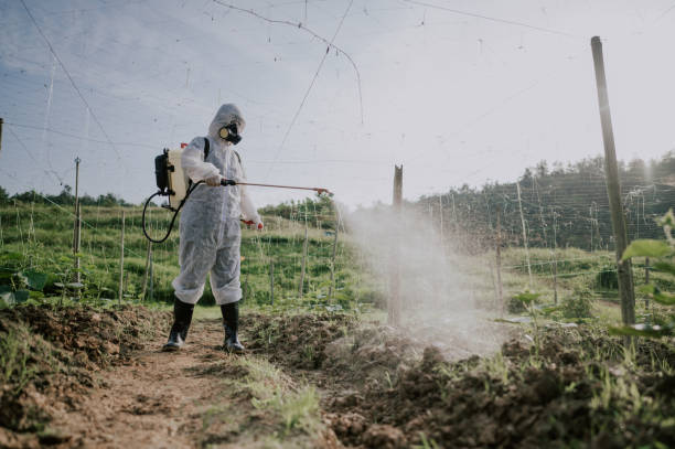 Best Best Pest Control Companies  in Glen Carbon, IL