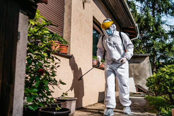Reliable Glen Carbon, IL Pest Control Solutions