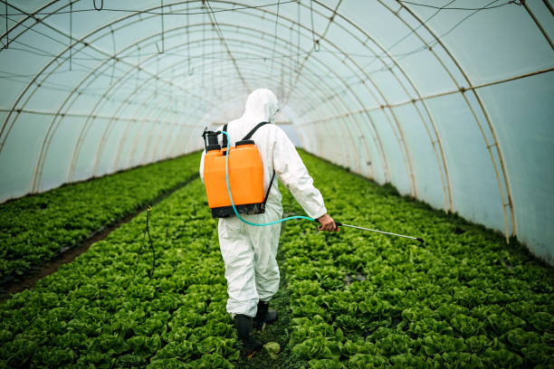 Best Best Pest Control Companies  in Glen Carbon, IL