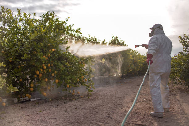 Best Bed Bug Extermination  in Glen Carbon, IL