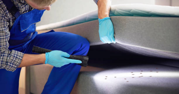Best Pest Control Near Me  in Glen Carbon, IL