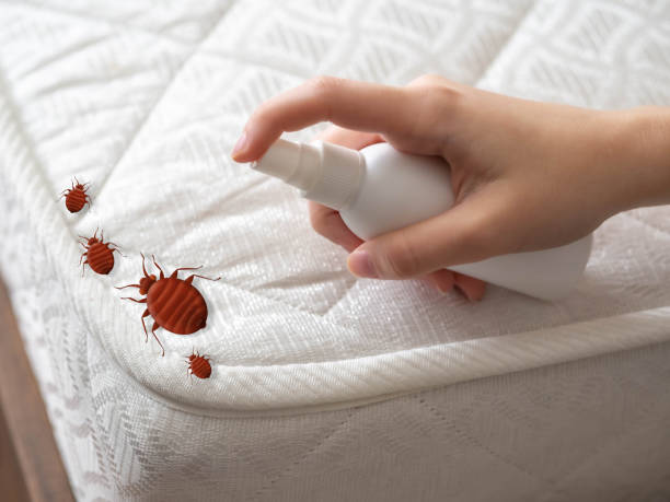 Best Cockroach Control Services  in Glen Carbon, IL