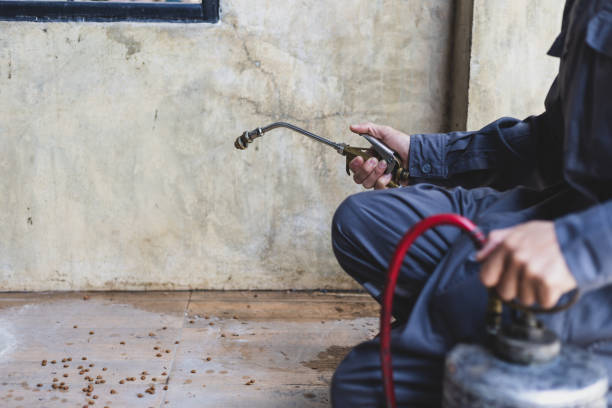 Best Rat Extermination Near Me  in Glen Carbon, IL