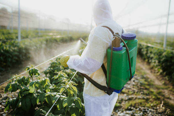 Best Cockroach Control Services  in Glen Carbon, IL